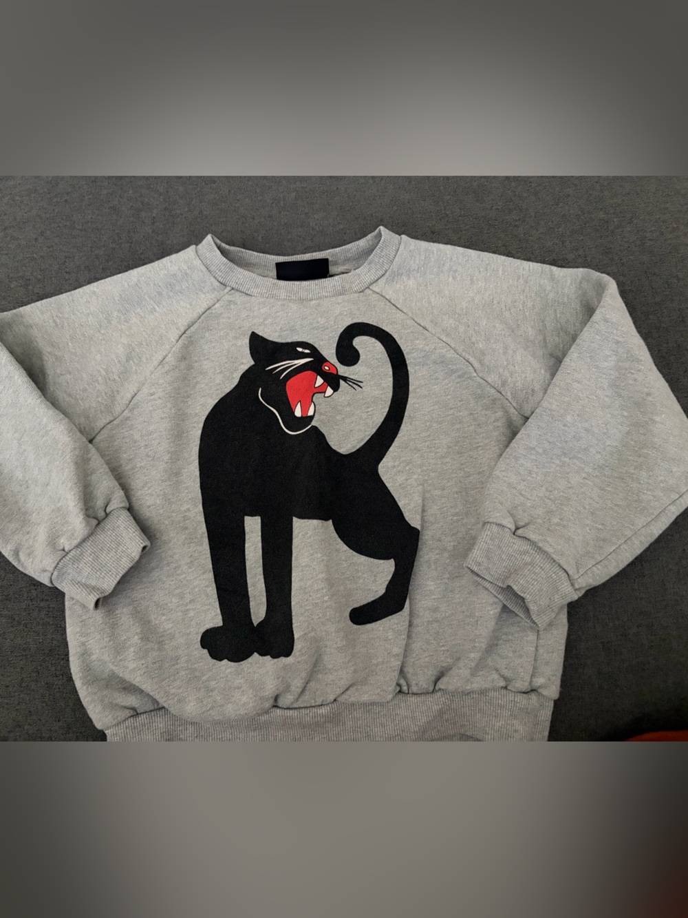 Mini Rodini Gray Sweatshirt with Black Cat Graphic and Red Accent